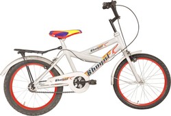 Canray Jr Bicycle